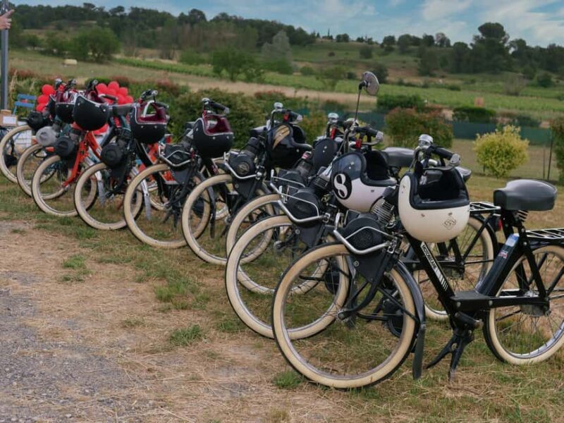 Carcassonne: Solex tour with guide and wine tasting - Good To Know