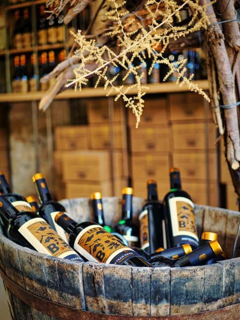 Carcassonne: Solex tour with guide and wine tasting - Who Will Love This Tour?