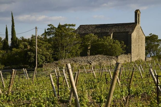 Carcassonne Wine Tours - Tour Pricing and Booking
