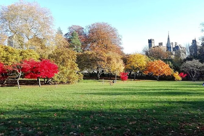 Cardiff City Private Guided Walking Tour - Customer Reviews