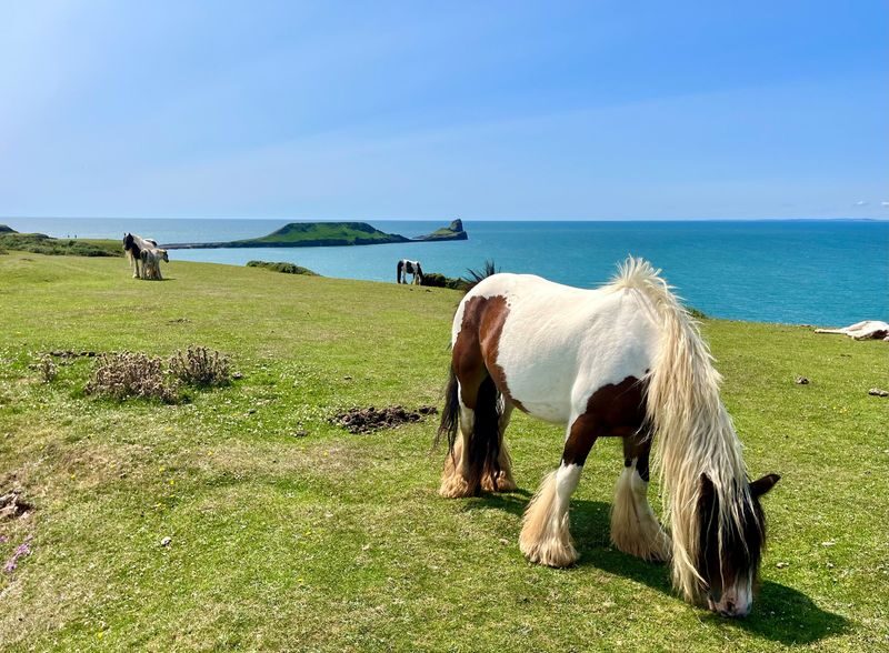 Cardiff: Gower Peninsulas Cliffs Scenic Day Tour - Langland to Caswell: the walk or the beach