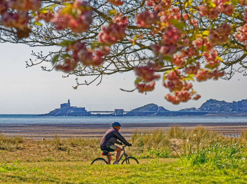 Cardiff: Gower Peninsulas Cliffs Scenic Day Tour - Rhossili Bay: the day’s defining view