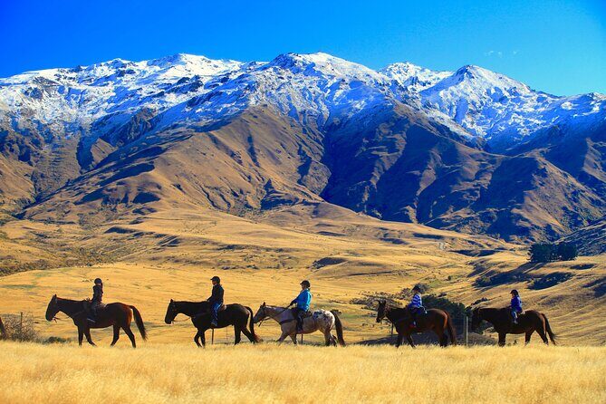 Cardrona High Country Pub Trail Horse Trek (Intermediate level+) - Good To Know