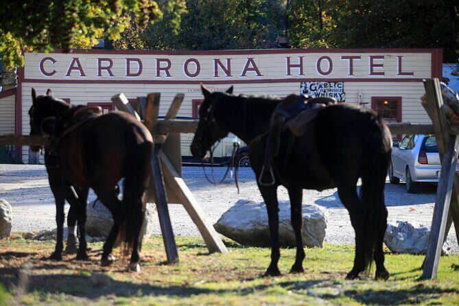 Cardrona High Country Pub Trail Horse Trek (Intermediate level+) - The Sum Up
