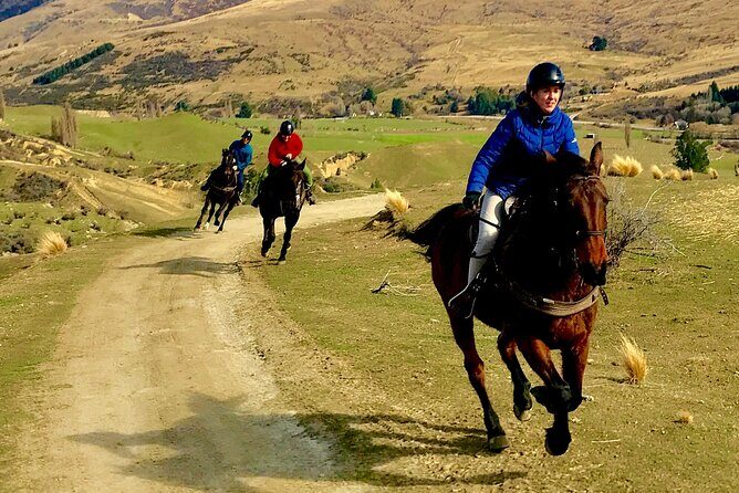 Cardrona High Country Pub Trail Horse Trek (Intermediate level+) - FAQs