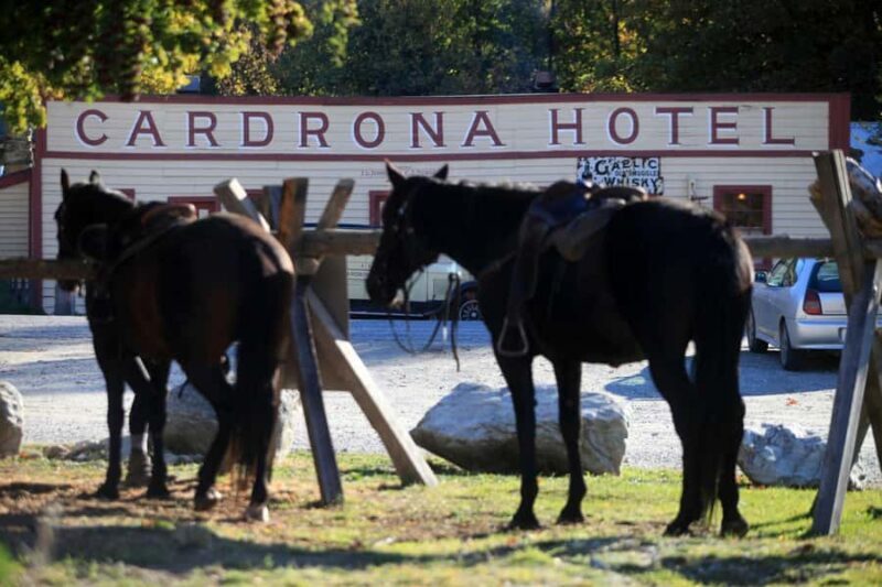 Cardrona Valley: Horse Trekking Experience - Good To Know