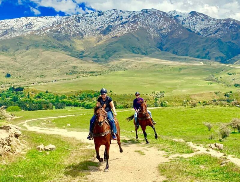 Cardrona Valley: Horse Trekking Experience - Why This Experience Is Worth Considering