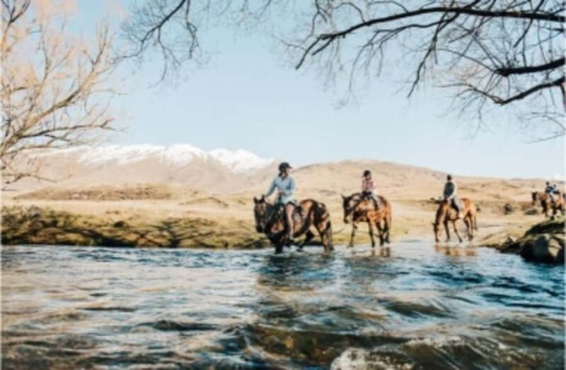 Cardrona Valley: Horse Trekking Experience - FAQ