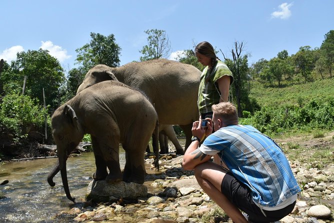 Care Pride Elephants: Full Day - Featured Review