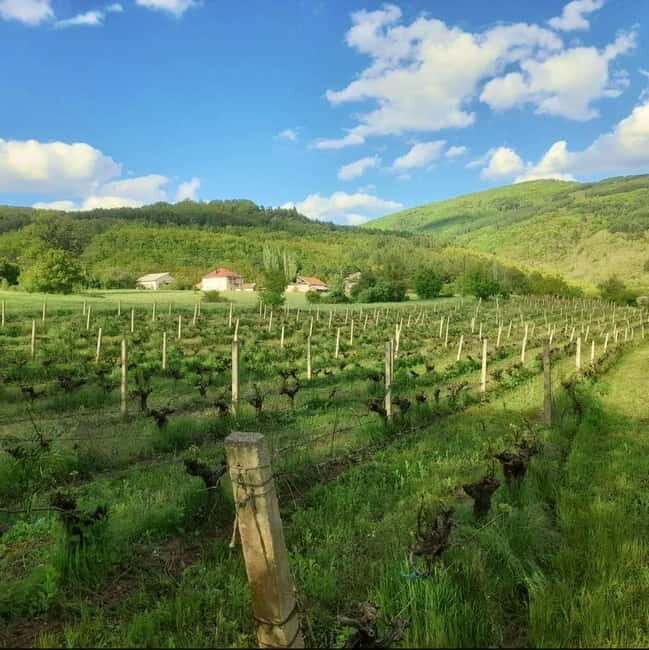 Careva Distillery: Taste Macedonian Brandies, Wines & Nature - Scenic Village Walk and Cultural Insights