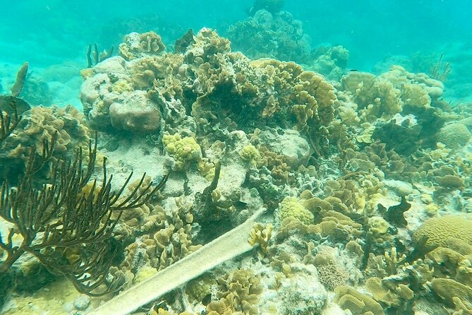 Caribbean Beaches Speedboat Day Tour With Snorkeling - Cancellation Policy