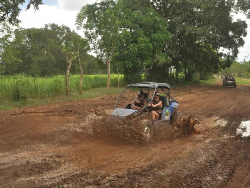 Caribbean Buggy Escape  Bayahibe Jungle & Safari - Who Will Love This Tour?