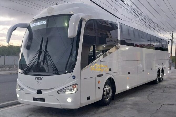 Caribbean Holiday Services Transfer - An Honest Look at the Caribbean Holiday Services Transfer  