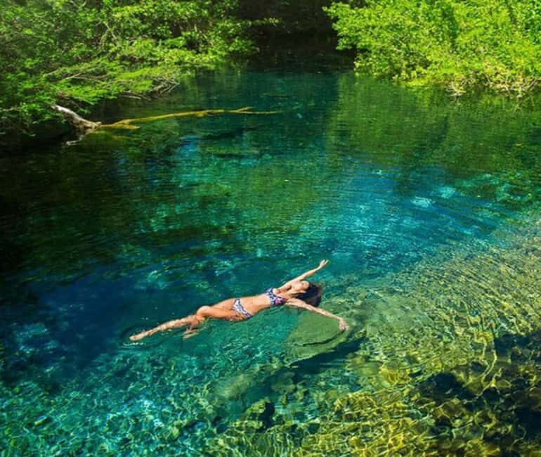 Caribbean Sea With Lagoon Half Day Tour - Why This Tour is a Great Choice