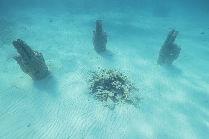 Caribbean Star Snorkeling Tour - Final Thoughts: Is the Caribbean Star Snorkeling Tour Worth It?