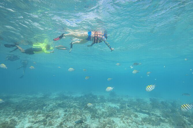 Caribbean Star Snorkeling Tour - FAQ