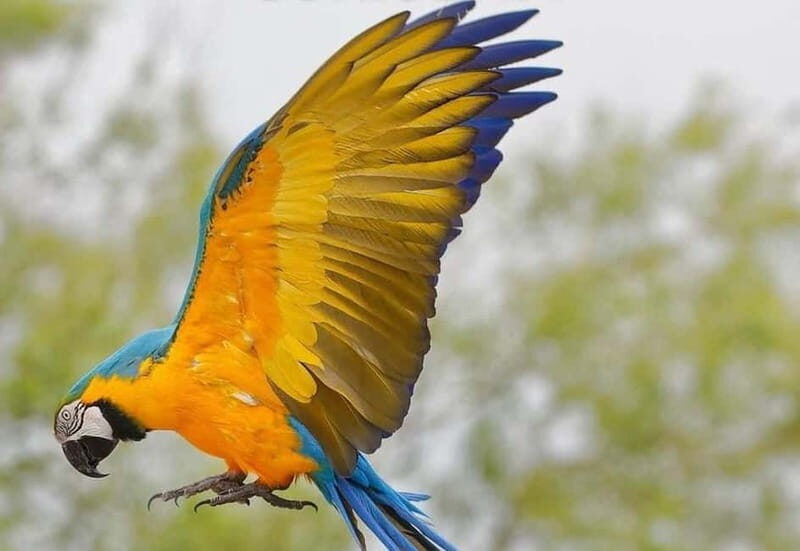 Carini: admission ticket to the Biopark of Sicily - An In-Depth Look at the Biopark of Sicily