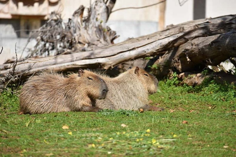 Carini: admission ticket to the Biopark of Sicily - Who Will Love the Biopark of Sicily?