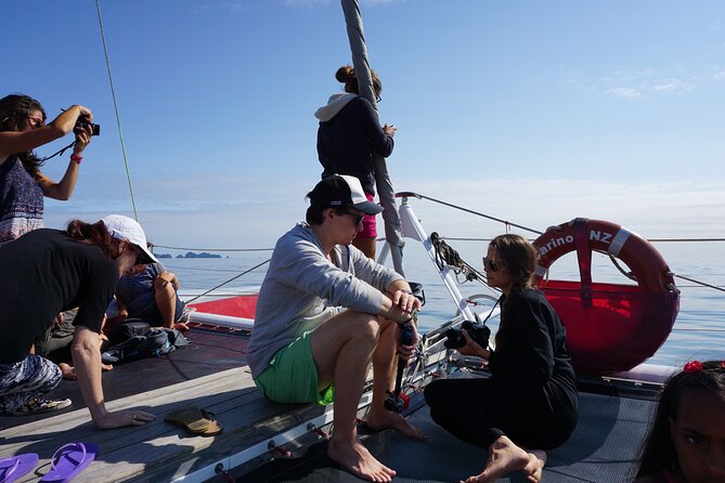 Carino Wildlife Cruises - Island and Wildlife Day Cruise - Traveler Photos and Reviews