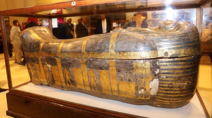 Cario: The Egyptian Museum and Cairo Nile Dinner Cruise - Activity Details