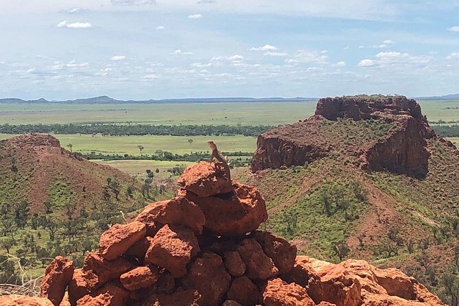 Carisbrooke Station and Dinosaur Stampede Day Tour from Winton - Exploring Spinifex Walk and the Surrounding Landscapes