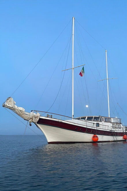 Carloforte and Island of St. Peter, Tour on a Yacht With Lunch - Itinerary Overview