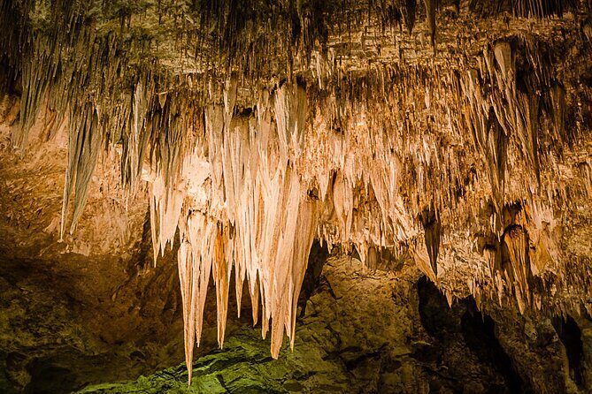 Carlsbad Caverns Self-Guided Walking Tour (Not a ticket) - Good To Know