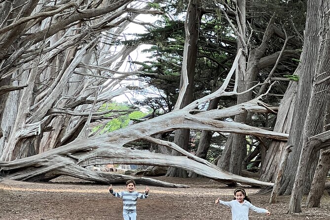 Carmel, Monterey and Big Sur Tour Private Tour From San Francisco - Confirmation and Accessibility