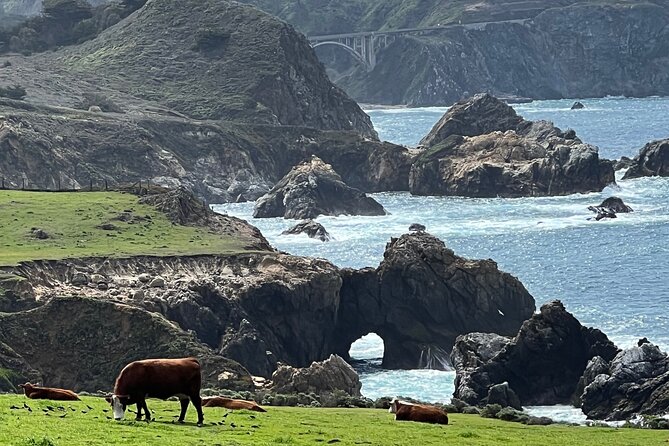 Carmel, Monterey and Big Sur Tour Private Tour From San Francisco - Cancellation Policy