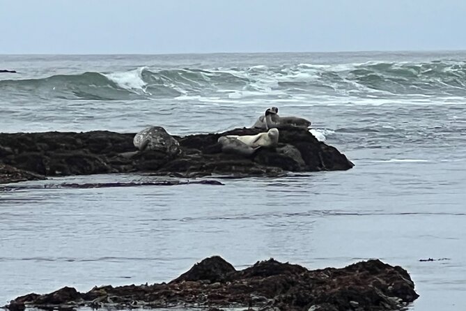 Carmel, Monterey and Big Sur Tour Private Tour From San Francisco - Common Questions