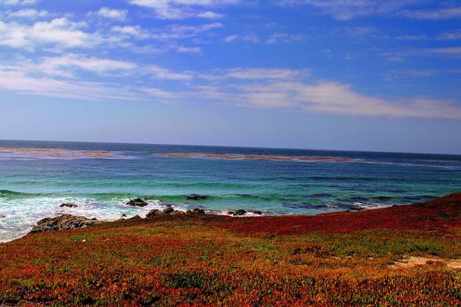 Carmel / Monterey Hwy 1 Tour - Highlights of Carmel and Monterey Tour