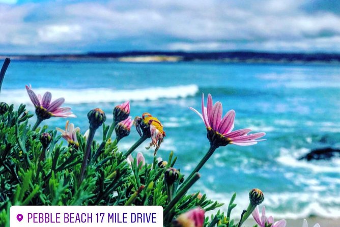 Carmel / Monterey Hwy 1 Tour - Booking and Pricing Information for the Carmel / Monterey Hwy 1 Tour