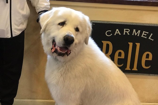 Carmel / Monterey Hwy 1 Tour - The Sum Up