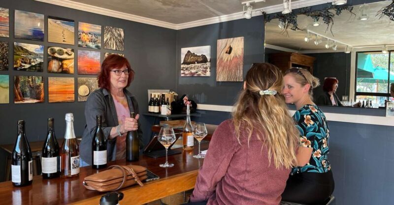 Carmel Valley Village: Wine Tasting Tours in a 1970 VW bus. - FAQs