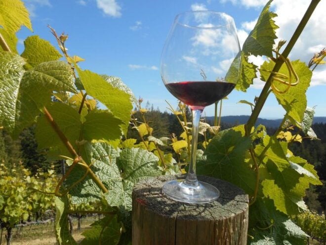 Carmel Valley Wine Tasting Tour - Local Wine Production in Monterey County