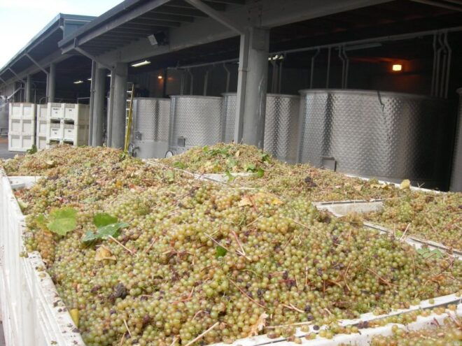 Carmel Valley Wine Tasting Tour - Customer Reviews