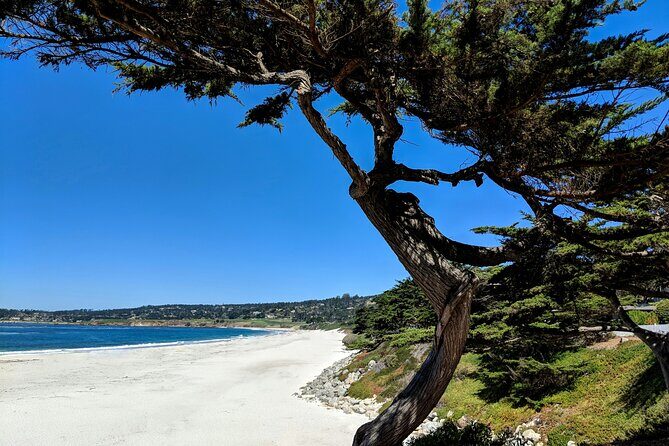 Carmels Hidden Gems Discovery Walk & Self-Guided Tour - Insights from Other Travelers