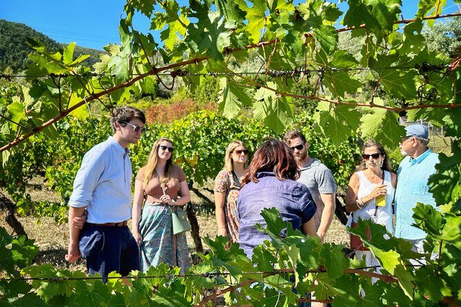 Carmignano Wine Tour with a Somm Small Group - Practical Details and Tips