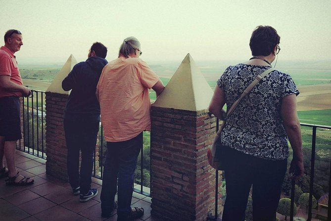 Carmona and Necropolis: Guided Day Tour From Seville - Inclusions and Pickup