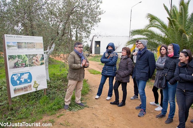 Carmona Food and Culture Full-Day Tour From Seville - Tour Overview