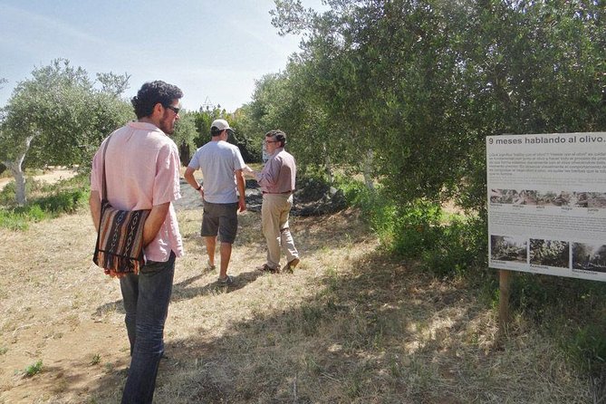 Carmona Food and Culture Full-Day Tour From Seville - Directions