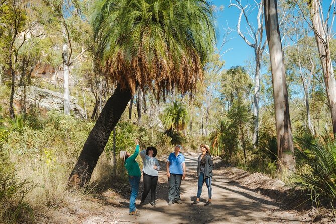 Carnarvon Range Day Tour With an Ecologist Guide  - Queensland - Inclusions
