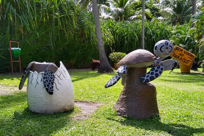 Carneiros Beach Tour - Tour Pricing and Booking Process