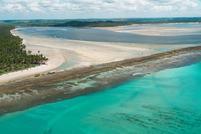 Carneiros Beach Tour From Maragogi With Costazul Turismo - Tour Overview