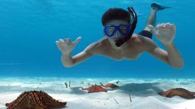 Carnevial Shore Excursion: Saona Island with Speedboat Ride - Authentic Experience: What Travelers Say