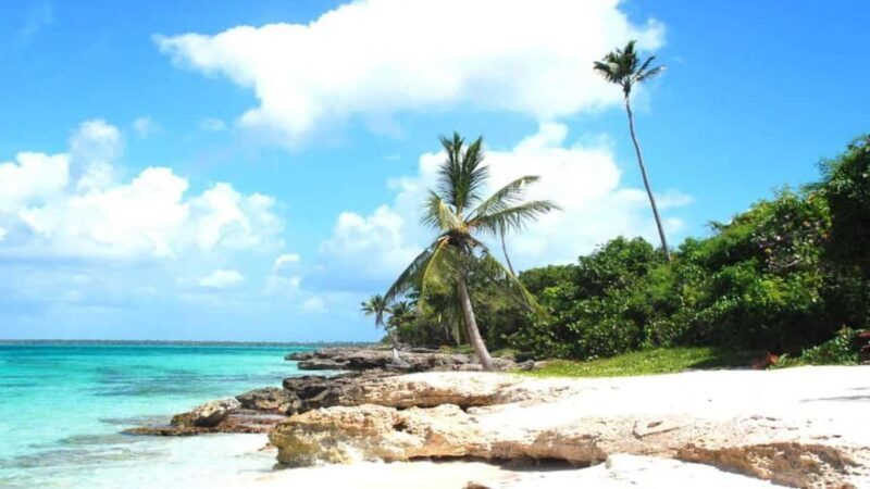 Carnevial Shore Excursion: Saona Island with Speedboat Ride - FAQ