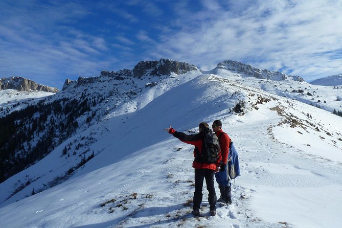 Carpathians in Romania: Bucegi Natural Park With Native Spanish Guide. - Reviews and Visitor Feedback