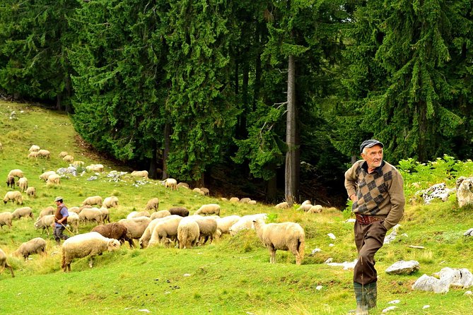 Carpathians in Romania: Piatra Craiului National Park With Native Spanish Guide. - Pricing and Guarantee Details