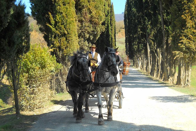 Carriage Ride and Lunch in a Typical Restaurant in the Heart of Chianti - Start Time and Additional Info