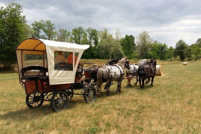 Carriage Ride and Lunch in a Typical Restaurant in the Heart of Chianti - Booking Options